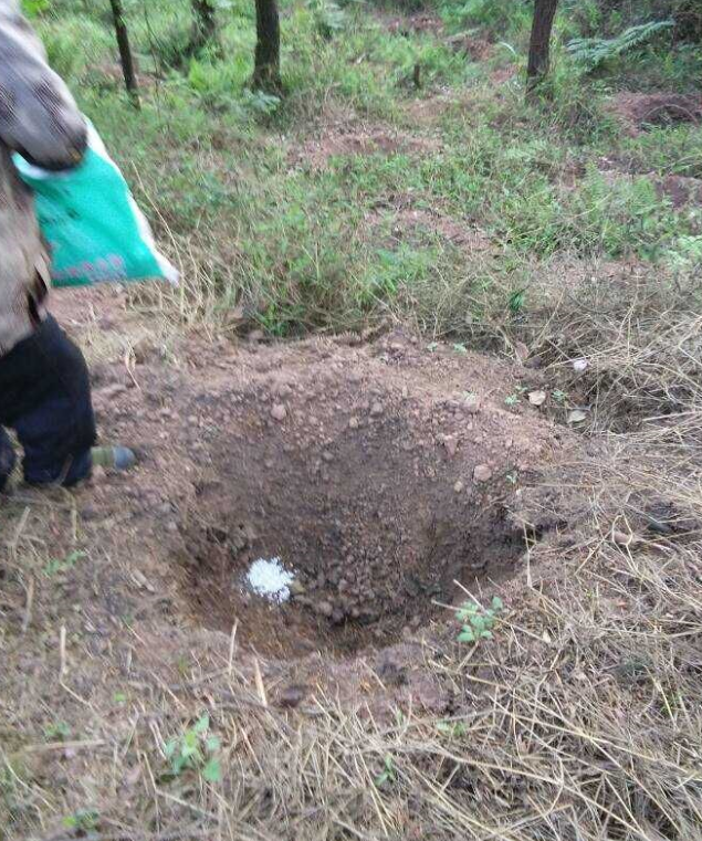 ʯɽʩ׷ľ޼ֲ2.png